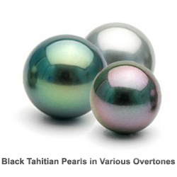 Tahitian Pearls