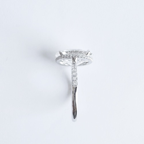 Side view Standard-diamonds halfway outside hidden halo